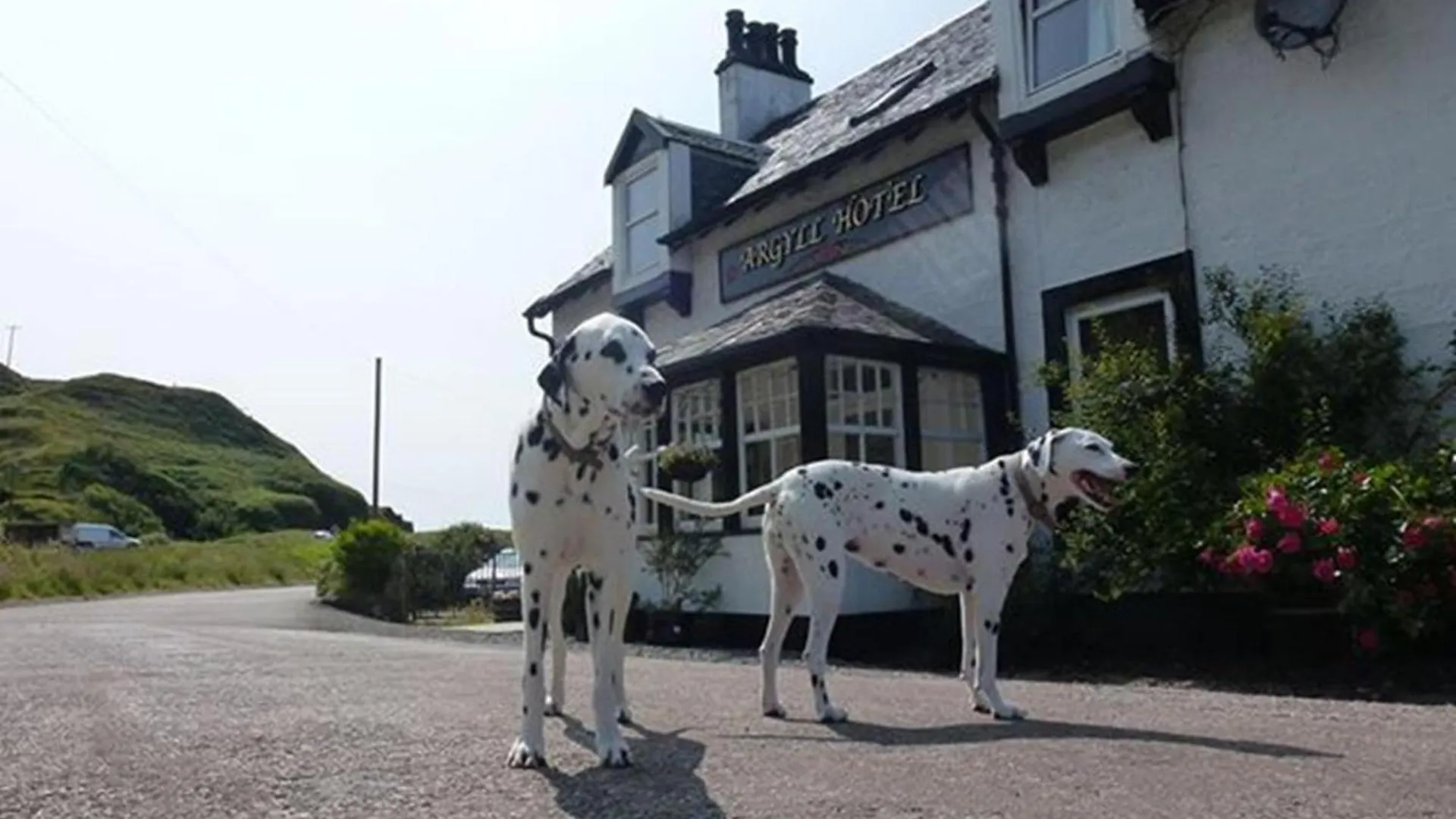 5 Hotels in Argyll and Bute Worth Booking Right Now